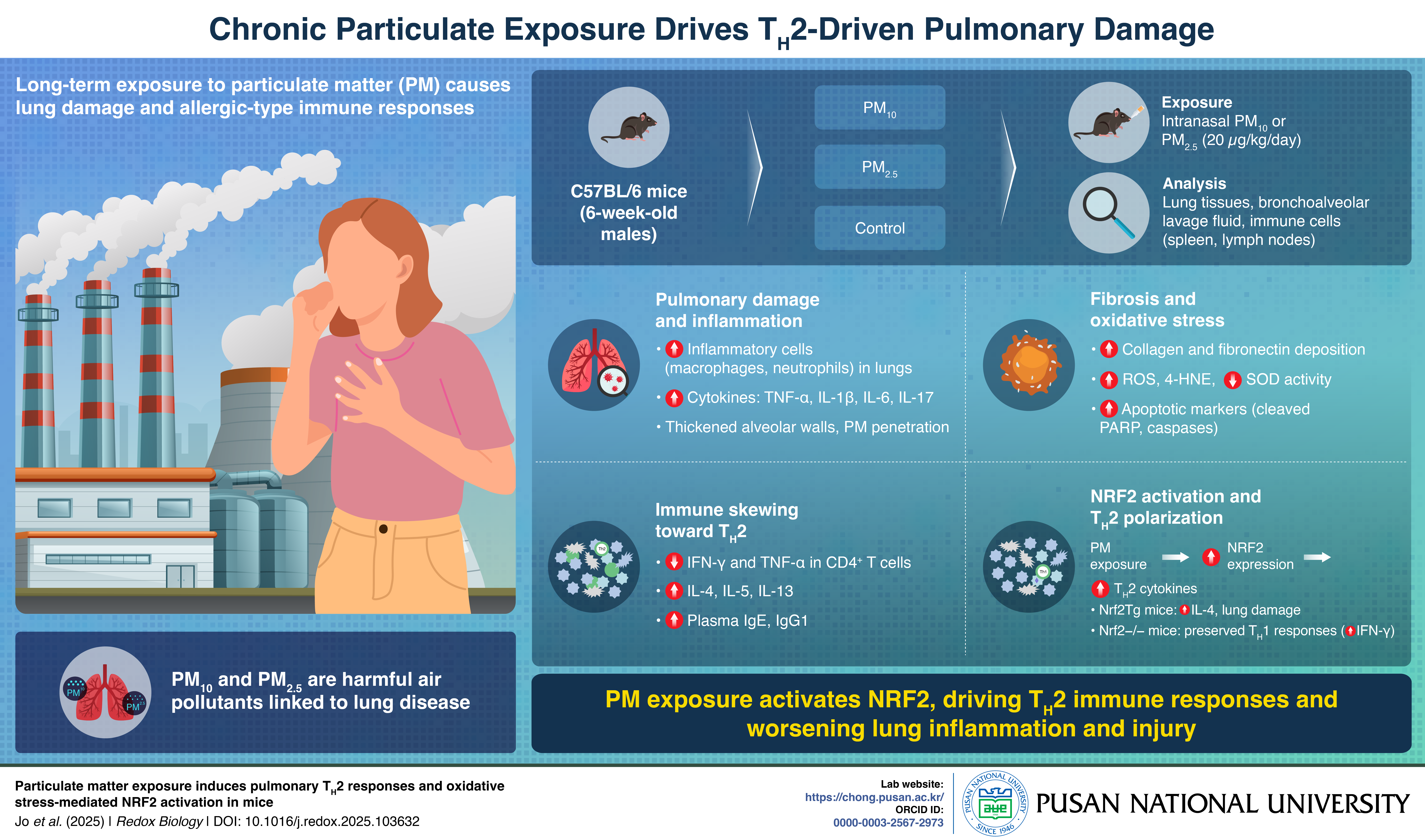  PURCS_136_Infographic_final_1